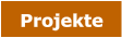 Projekte